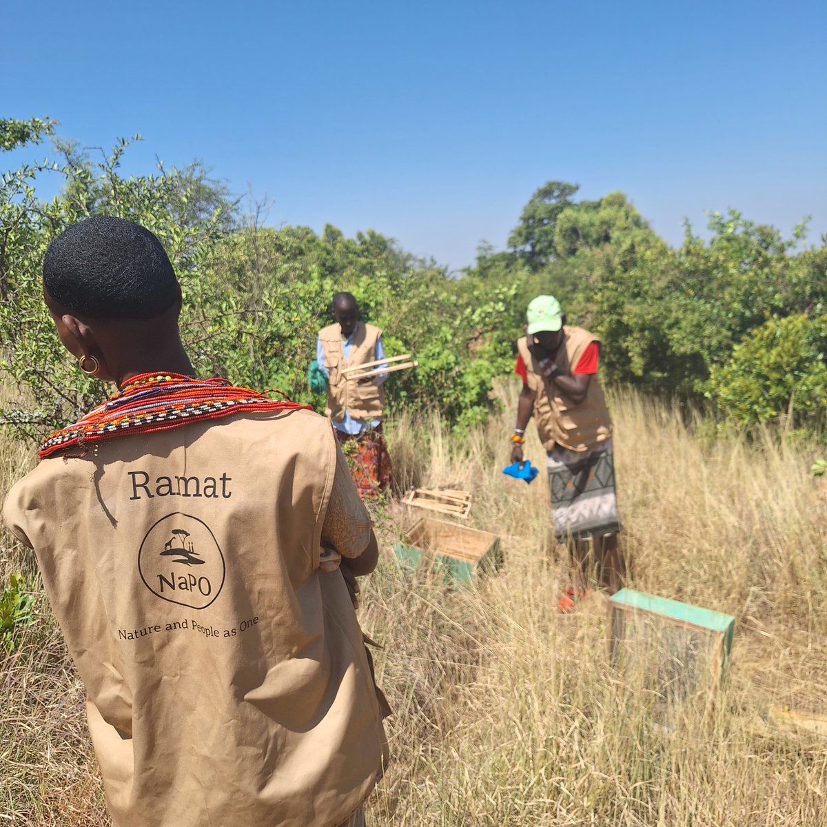 Nature and People as One (NAPO) tweet media