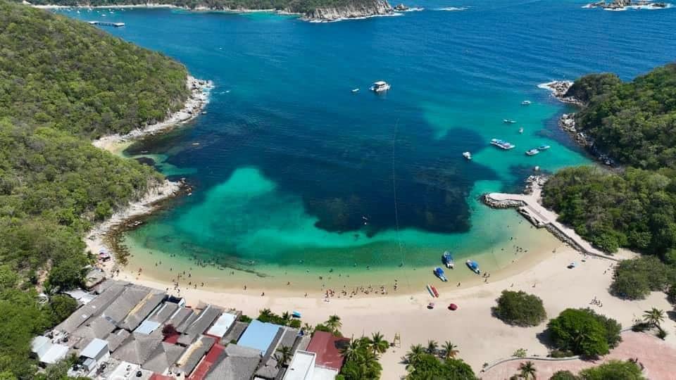 nvinoticiasoax's tweet photo. 😱🎉¿Sabías que en #Oaxaca tenemos una de las 10 mejores playas de #México?

Se trata de la Playa la Entrega, en Huatulco, reconocida como una de las 10 mejores en los Travelers Choice Awards 2024.🌊✨

📷A quien corresponda. https://t.co/oPxb3zEvYV