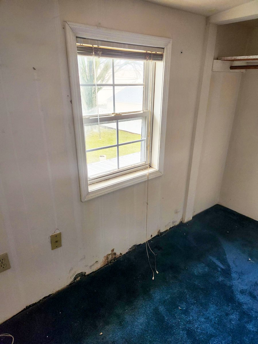 Call_DunRite's tweet photo. 😲🆘 Yikes, Call DunRite Immediately!! 🚨😳

🚫 Don't let a leaking roof sneak up on you!

Call DunRite now to schedule a FREE roof inspection &amp; prevent mold from taking over your home. 

📞 800.422.7483
🌐 https://t.co/kgPvvWEAup
#LeakyRoof #BlackMold #DunRiteRoofing 😱🏡🚨 https://t.co/DcFOfhpAVj