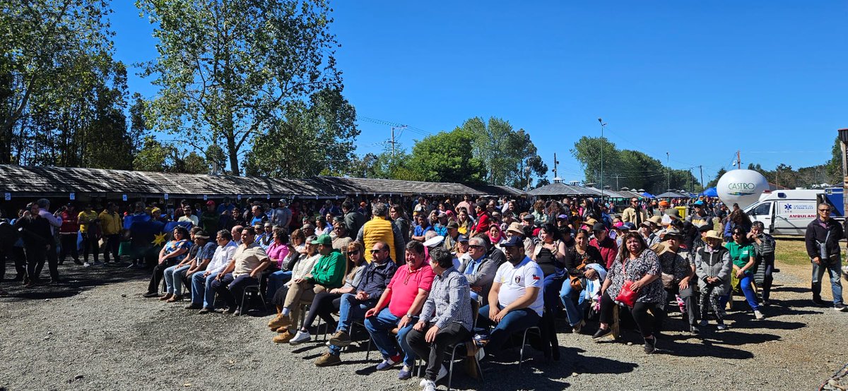Ilustre Municipalidad de Castro tweet media