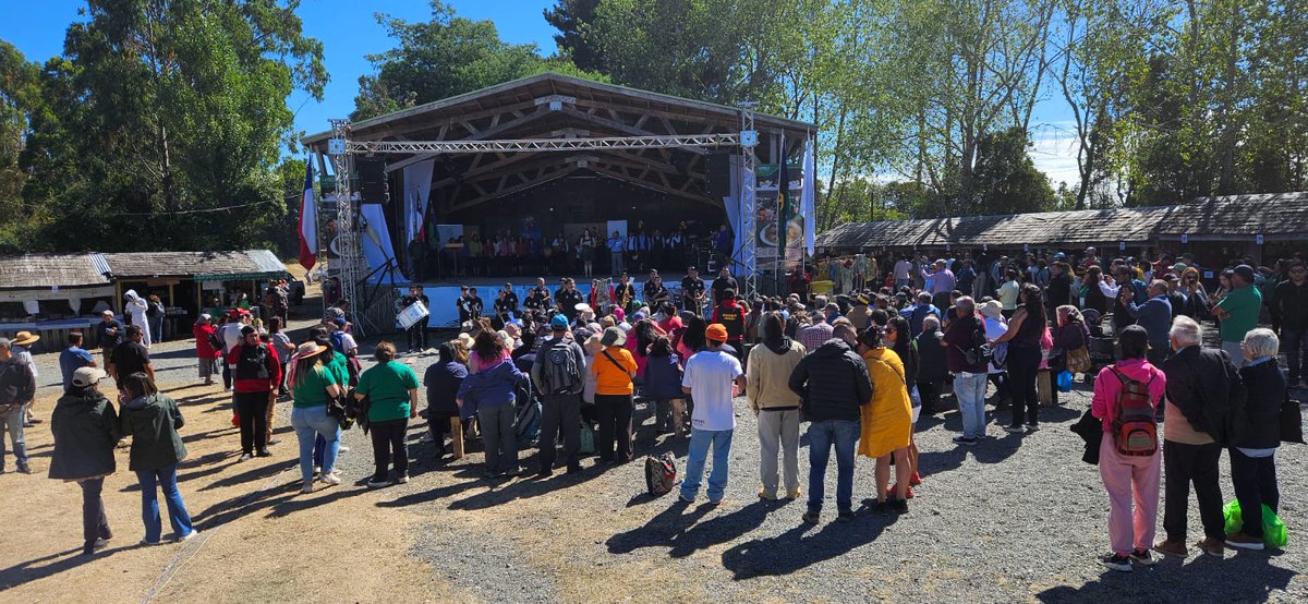 Ilustre Municipalidad de Castro tweet media