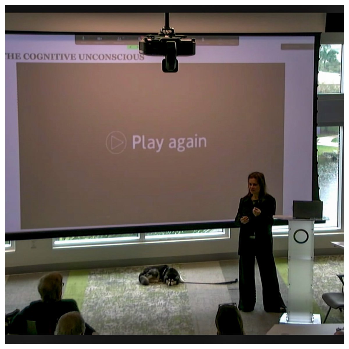 Ben_Chandler's tweet image. Really enjoying this presentation by @DrGuralnik - especially delighted that her dog is there! @SEFAPP