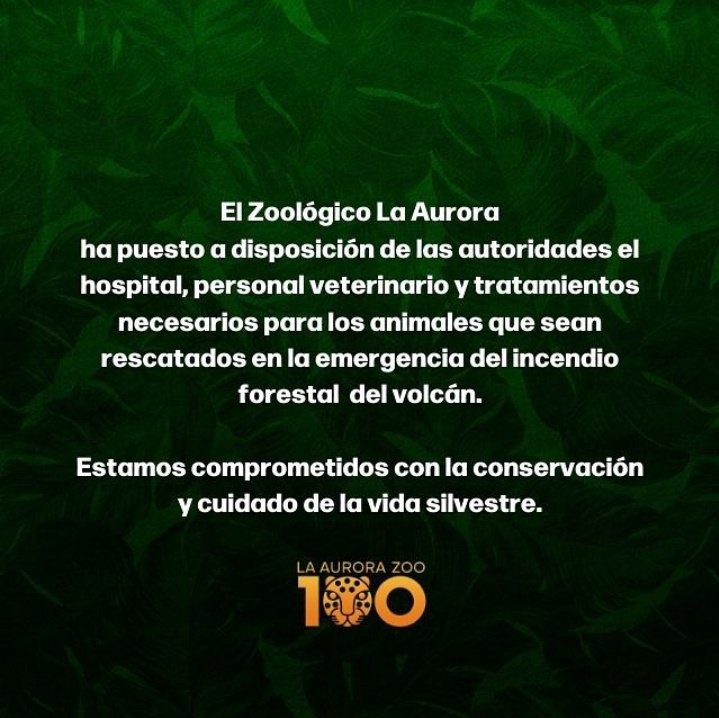 #AHORA El Zoológico La Aurora pone a disposición el hospital del lugar para atender a los animales afectados por el incendio en el volcán de Agua