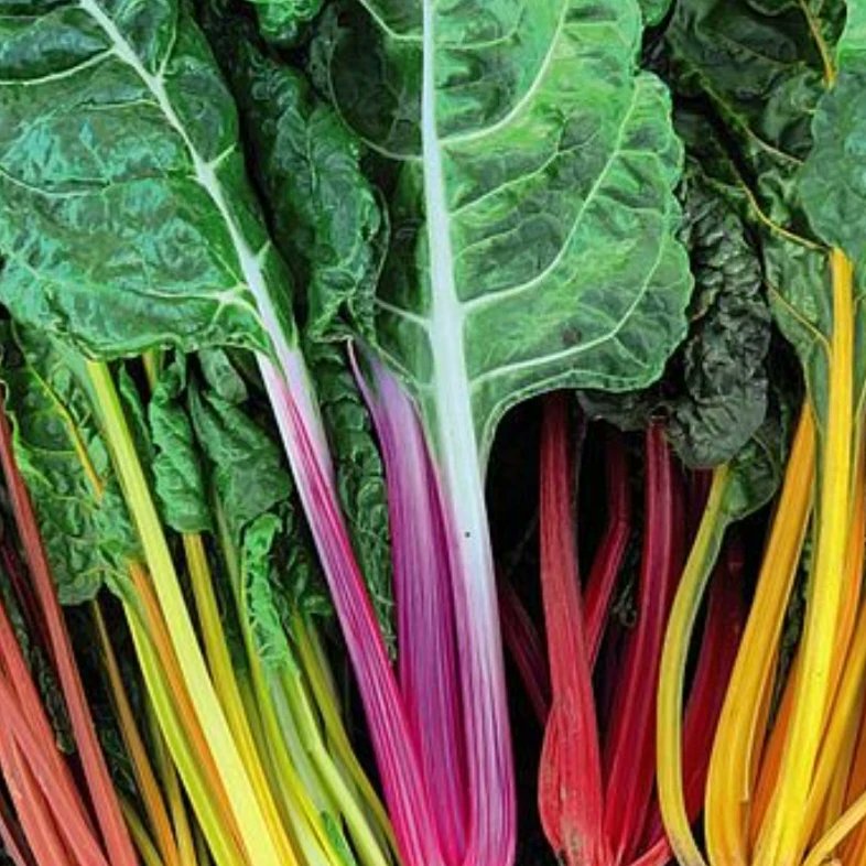 NancyRothery1's tweet photo. Have you seen the posts on Insta for the 
Guild of Food Writers word prompt for
#GFW29DeliciousDays2024 - today's word is Brassica... 🥳 https://t.co/yKuqyHCxp2