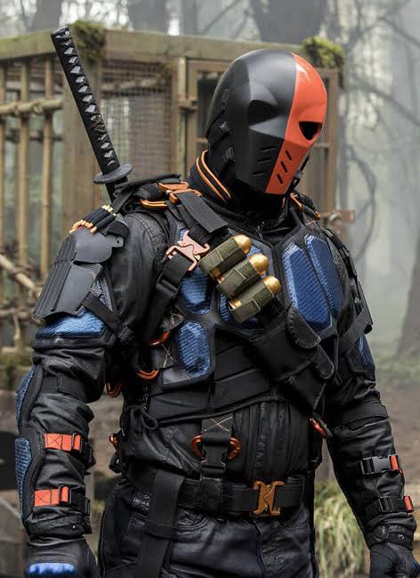 右がウェイド・ウィルソン
左がスレイド・ウィルソン 