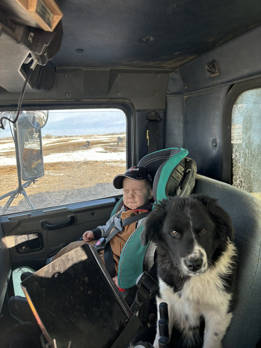 Added a new feeding copilot to the mix for the weekend.