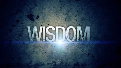 The time is now!!  Do not let an opportunity pass you by waiting for a perfect or ideal situation. Seize the moment now!!  #wordsofwisdom #wisdom