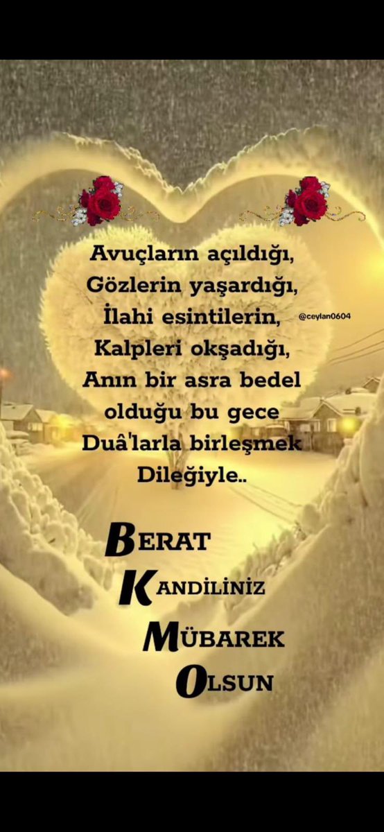 ridvanacar5's tweet image. 