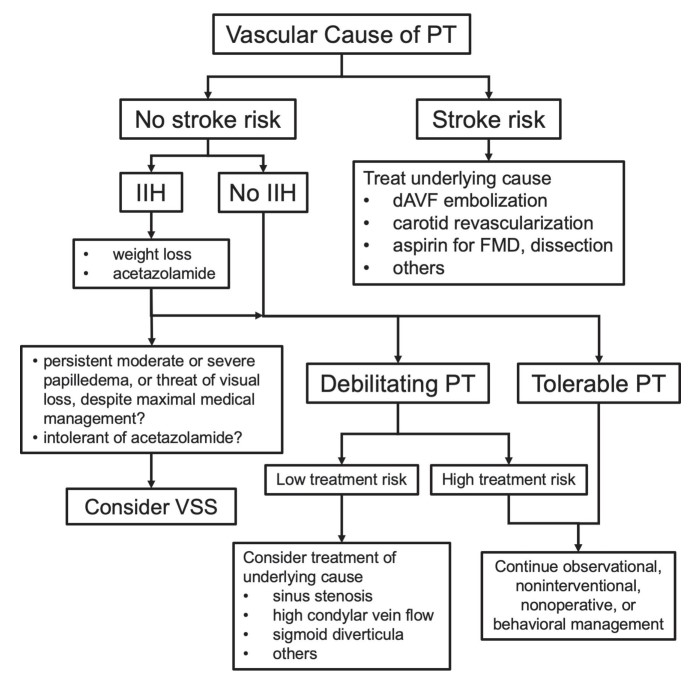 Do you hear that? Revisit the top read JNIS articles of 2023 as @DrKazNIR and @MattAmansMD review the emerging management strategies of vascular causes of pulsatile tinnitus. bit.ly/49IWmSp #Pulsatiletinnitus