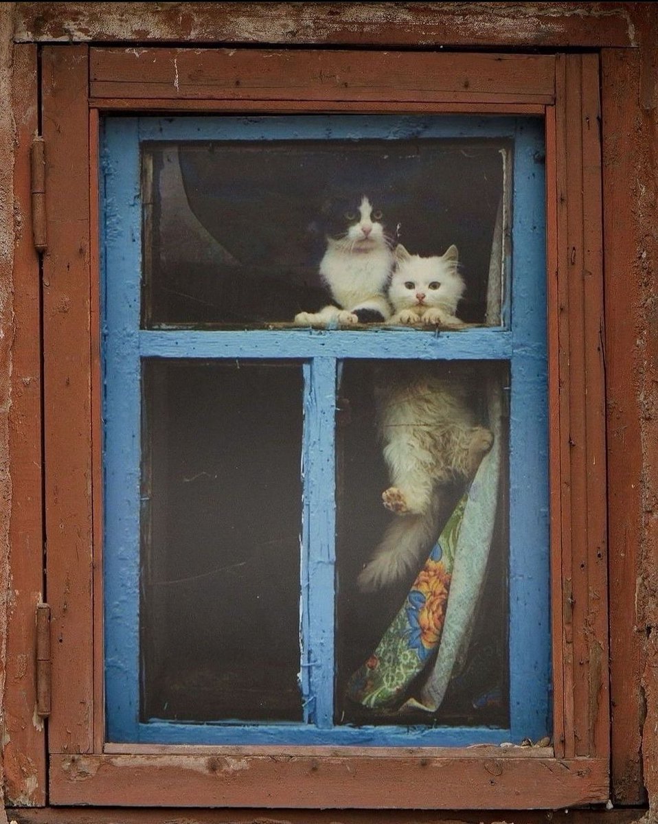 this looks like a painting