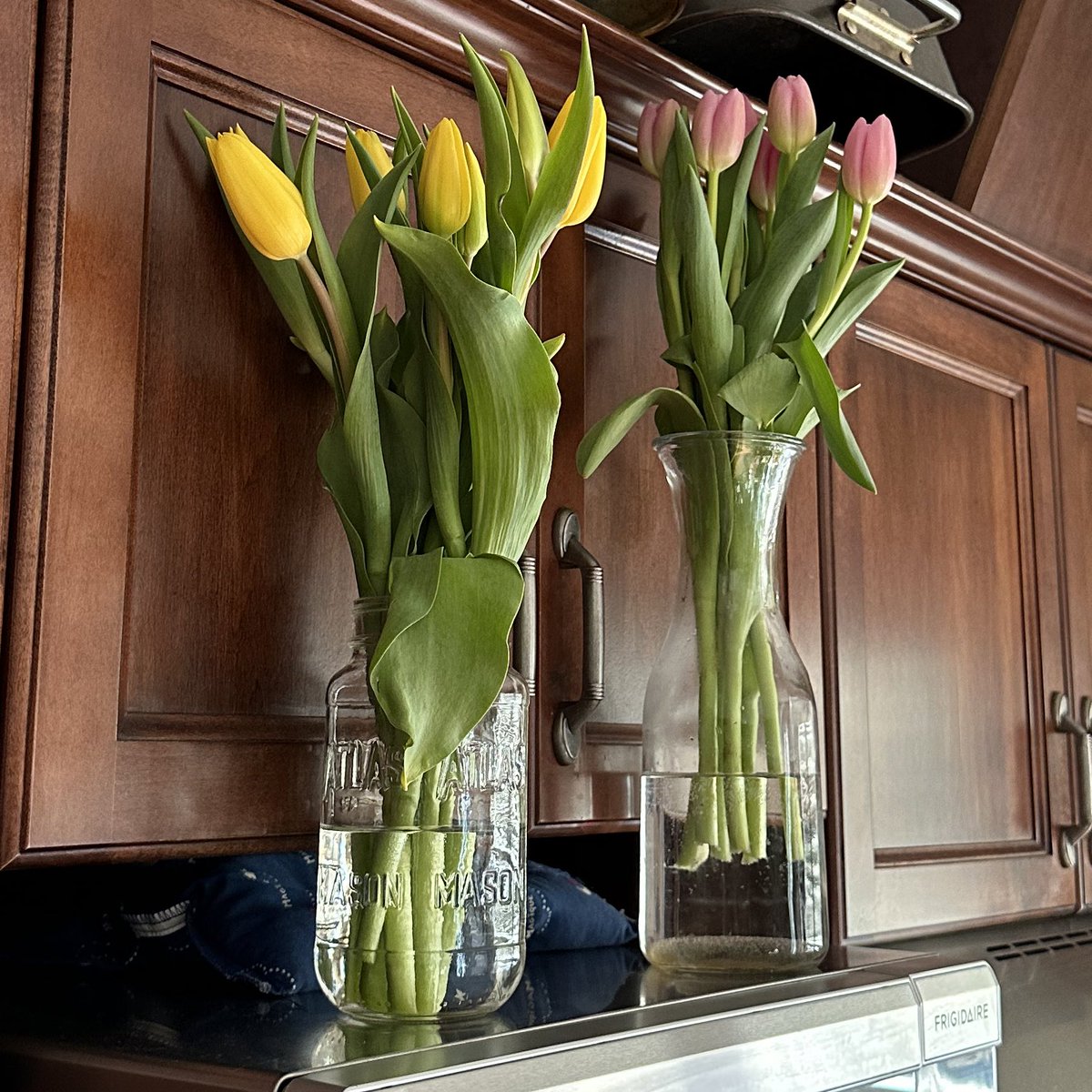 A friend brought over some tulips yesterday for Shannon and I to enjoy.

Unfortunately they’re poisonous to cats, so we have to keep them somewhere unconventional and out of reach. 

I always enjoy fresh flowers 💐 

#StageIV #ColonCancer #mCRC #CRCSM