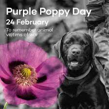 Acknowledging all creatures, great and small, whose lives have sadly been lost in war. en.wikipedia.org/wiki/Purple_po…