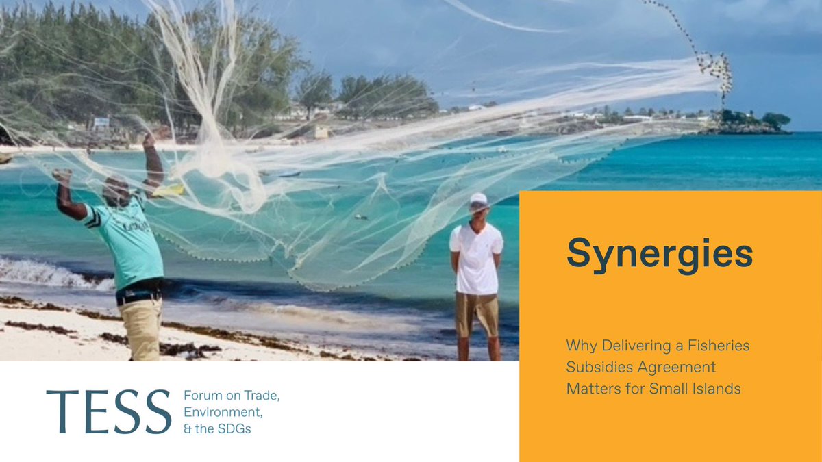 In the lead up to <a href="/WTO/">WTO</a> #MC13, <a href="/TESSForum/">Forum on Trade, Environment & the SDGs</a> is pleased to share this new Synergies article by <a href="/Matthewbarbados/">Matthew Wilson</a>, on: 

➡️ Why Delivering a <a href="/wto/">WTO</a> Fisheries Subsidies Agreement Matters for Small Islands.

Find out more ➡️ bit.ly/48tHiHn