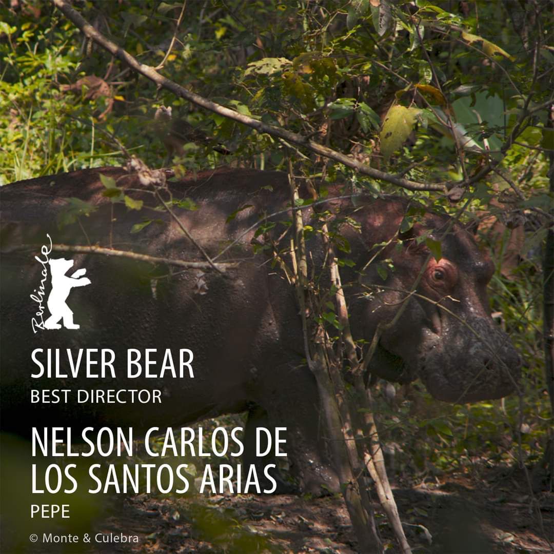 Hjalm25's tweet photo. ¡¡ Ganamos !! Nelson Carlo de los Santos gana como Mejor Director por la película dominicana Pepe en la Berlinale,🥂🥂🥂.

#PepePelícula #CineDominicano #CineRD #SomosCineRD #Berlinale #OsoDePlata #MejorDirectorBerlinale2024 https://t.co/M5syrVZv91