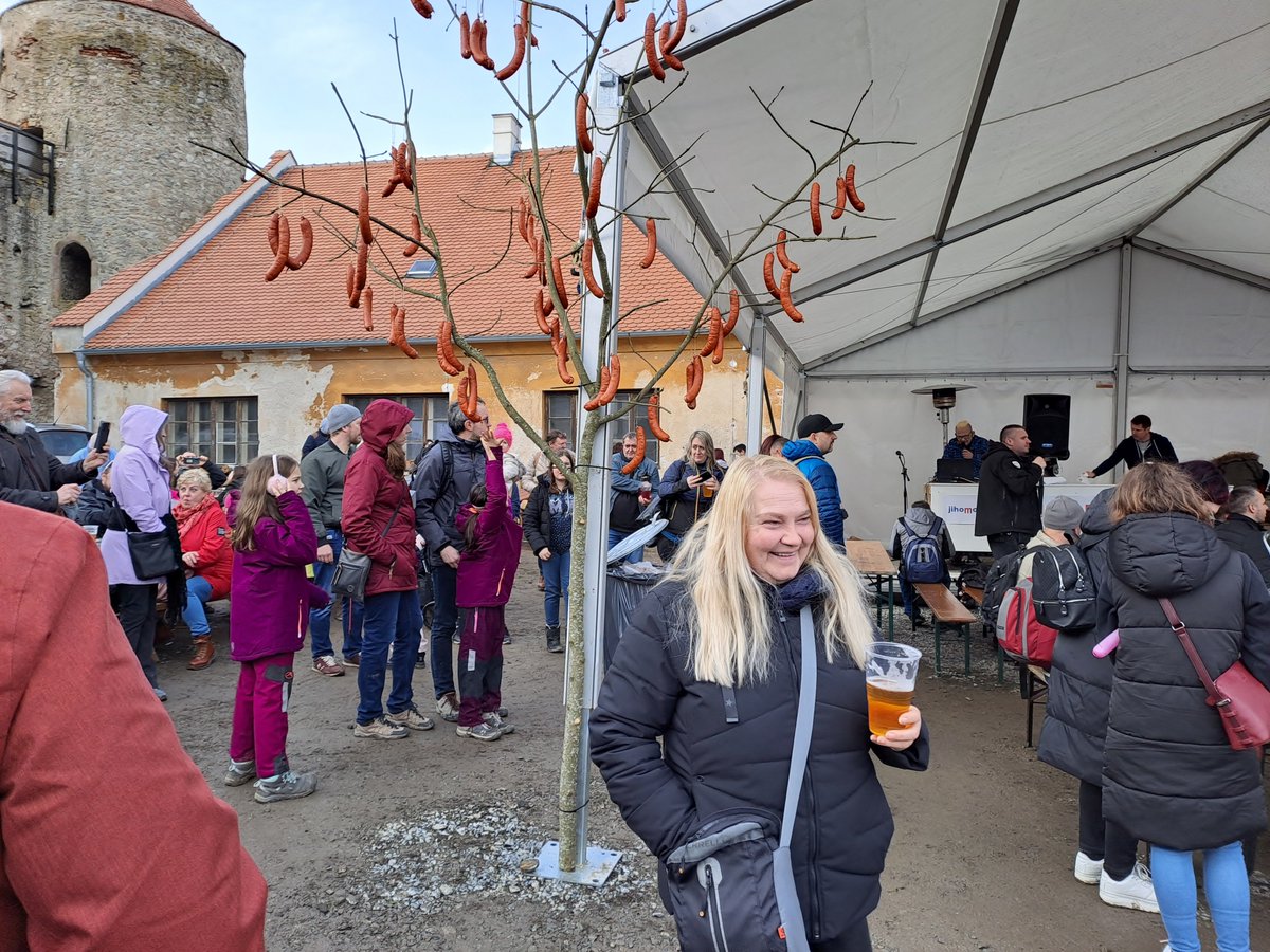 michalhrabal88's tweet photo. Jako v Dařbujánovi a Pandrholovi? Na hradě Veveří vyrostl v sobotu odpoledne klobáskovník. Konaly se tam Slavnosti moravského uzeného. @BrnenskyDenik #brno #veveri #uzene #klobasky https://t.co/PhXnCCRh8H