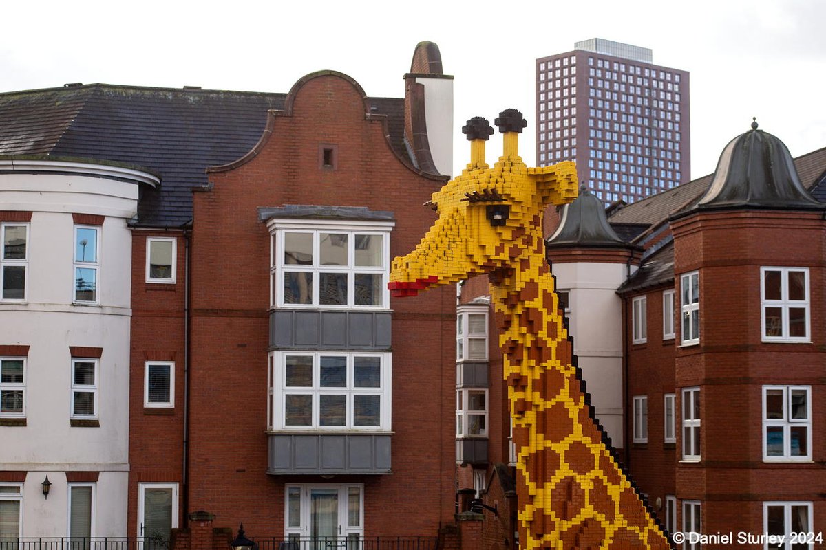 #Birmingham UK, the #Lego #Giraffe 😁
#BirminghamWeAre #MuddleEarth