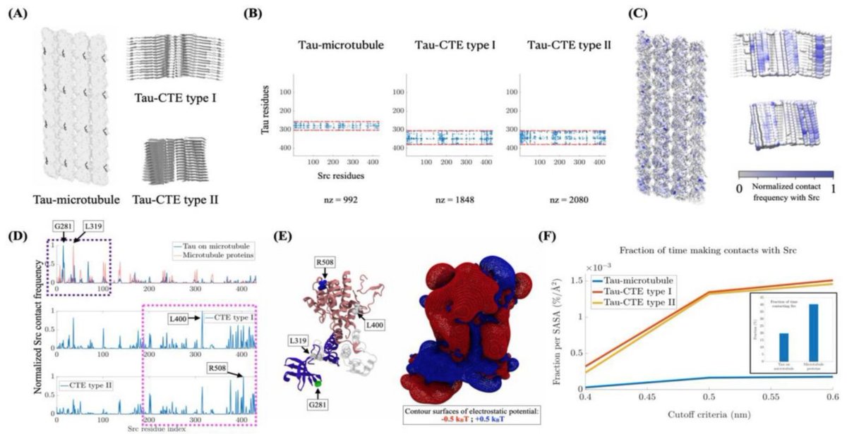 Abhishek Singharoy (@abhisekhsingha1) on Twitter photo Our 2nd piece on applied neurosciences+comput. bioenergetics.
CryoEM+ Mass spec + BD shows big PTM-induced changes during Alzheimers propagation.
*Upregulation of the Proto-Oncogene Src Kinase in Alzheimer’s Disease*
biorxiv.org/content/10.110…
<a href="/BannerHealth/">Banner Health</a> <a href="/ASUBiodesign/">Biodesign Institute at Arizona State University</a> Our 2nd piece on applied neurosciences+comput. bioenergetics.
CryoEM+ Mass spec + BD shows big PTM-induced changes during Alzheimers propagation.
*Upregulation of the Proto-Oncogene Src Kinase in Alzheimer’s Disease*
biorxiv.org/content/10.110…
<a href="/BannerHealth/">Banner Health</a> <a href="/ASUBiodesign/">Biodesign Institute at Arizona State University</a>