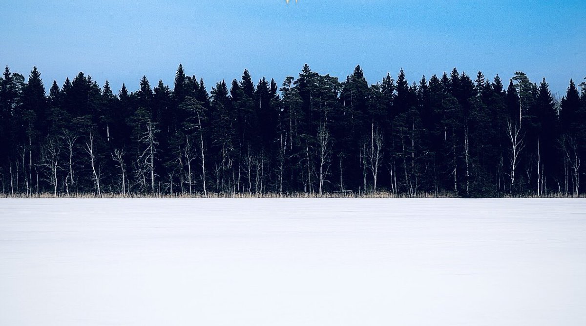 Happy 106th Independence Day! Long live Estonia! #SlavaUkraini