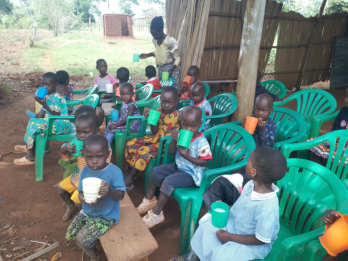 PHFOrganization's tweet image. 