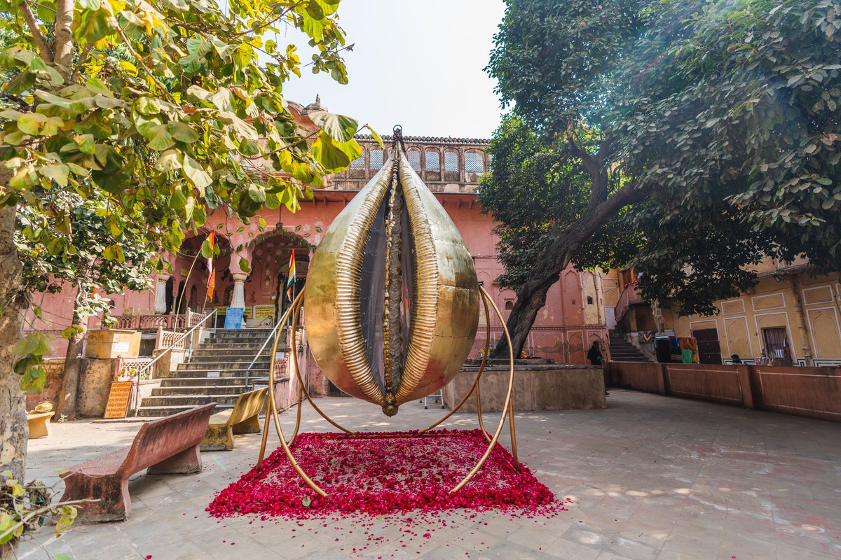 emmasumnerart's tweet photo. #JaipurArtWeek 2024, Shilo Shiv Suleman’s ‘SHANKHA’ (2023), stands proud in the Govardhan Nath Ji Temple in #HawaMahal (Palace of the Winds). This larger than life brass cowrie shell represents India and the world while standing as a symbol for unabashed sapphic earth feminine. https://t.co/RrZgHlF4jw