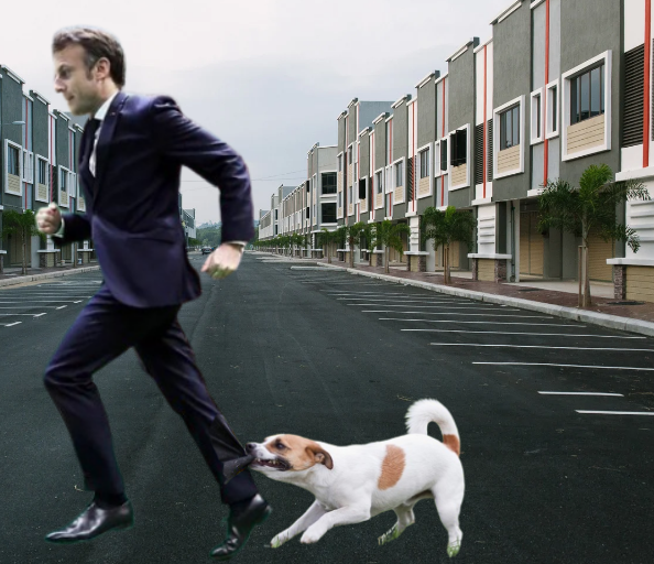 #PoseTonMacron 
#SalonDeLagriculture