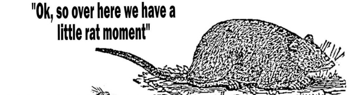 Natural Rat (@naturalrat) on Twitter photo 