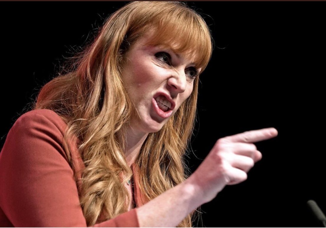 Just a reminder that the last MP to be murdered was slaughtered by an Islamist shortly after Angela Rayner called all Tories Scum. Why wasn’t she suspended? #LeeAnderson