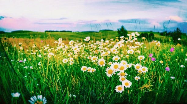 "Sergio Granados, Union County Commissioner Chairman, aims to inspire residents and visitors through the nature photography workshop. Exploring parks and sharing photos can deepen our connection to nature."
#NatureBeauty #CLICKS #latest