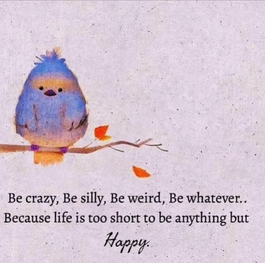 Chris Havrilla (she/her) (@havrilla) on Twitter photo 