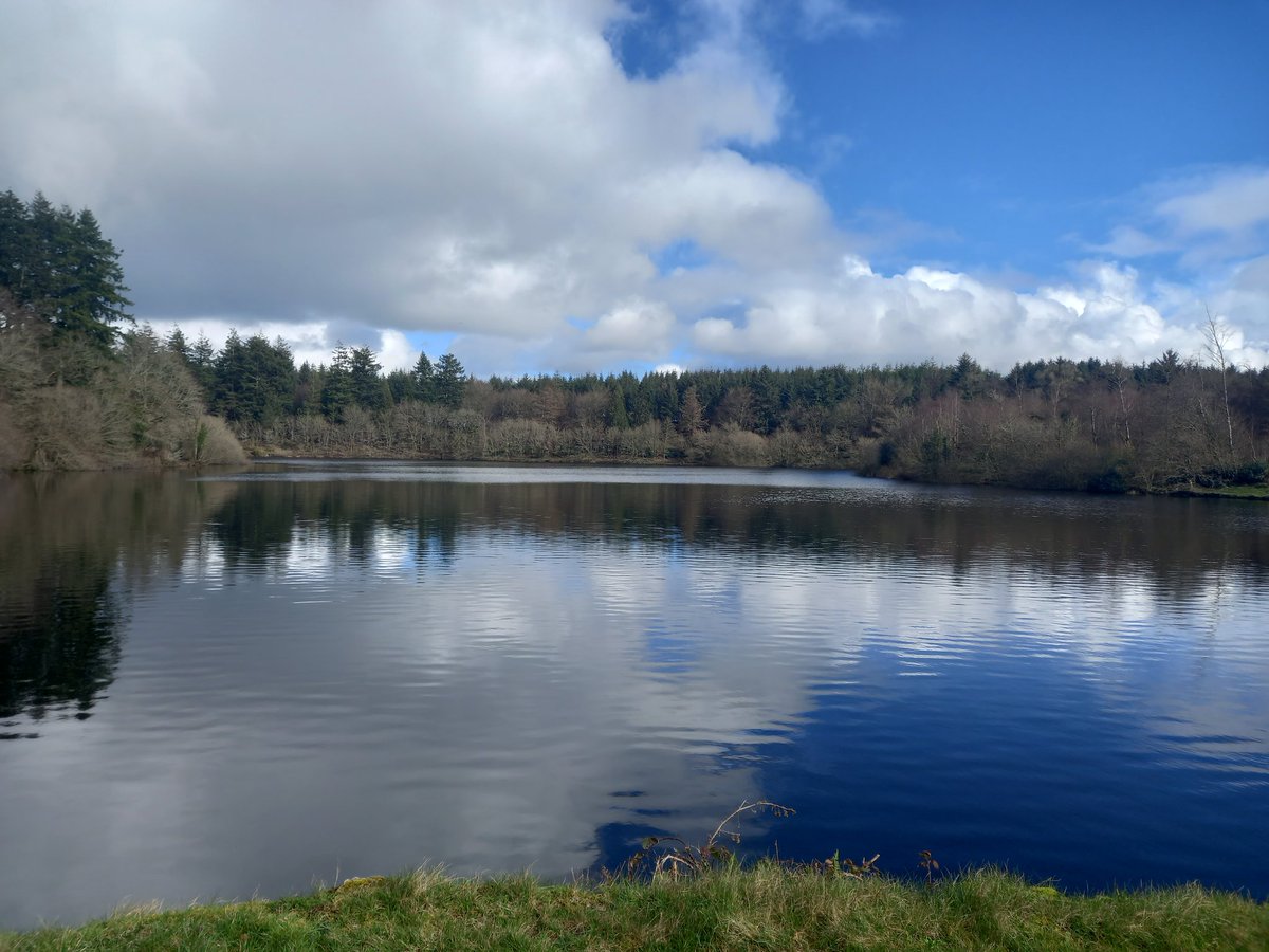 Jennie Roberts tweet media