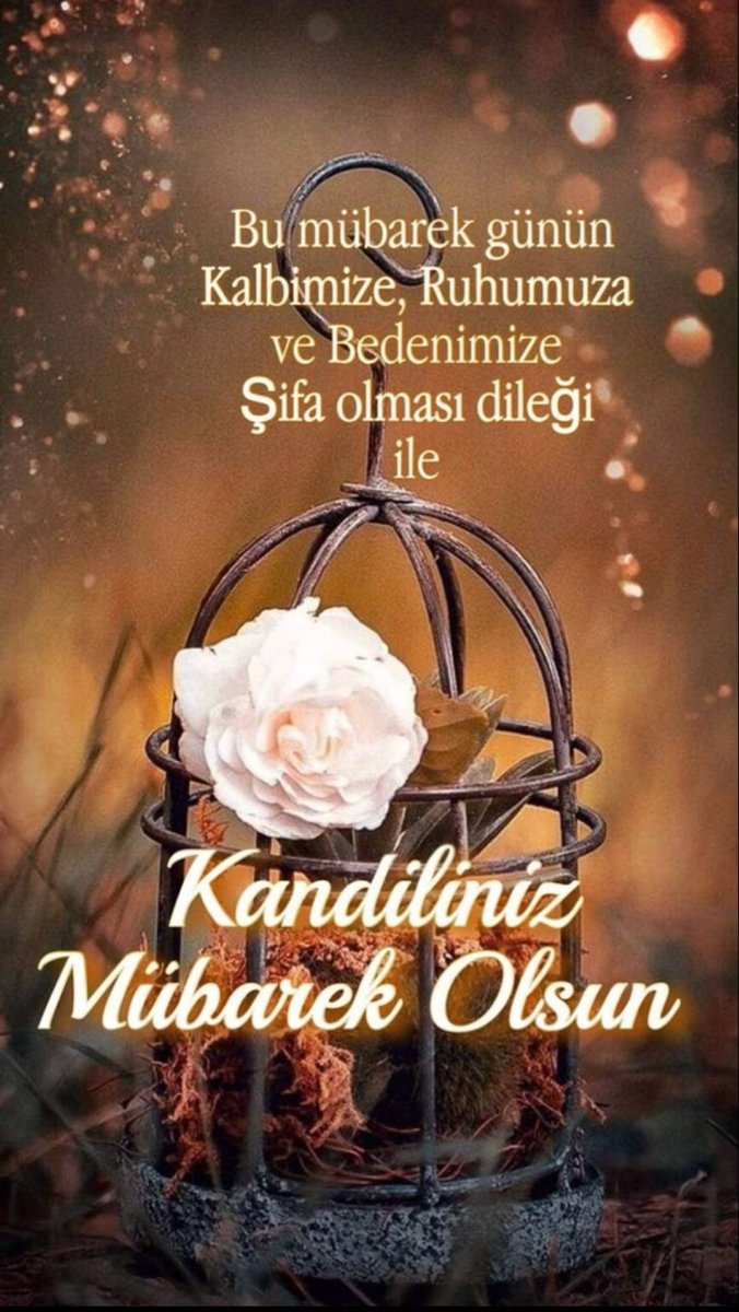 Hayırlı kandiller dostlarım..

Rabbim bugünün yüzü suyu hürmetine, hastalarımıza şifa, dertlerimize deva, bütün dualarımızı kabul eylesin inşallah✨✨🙏