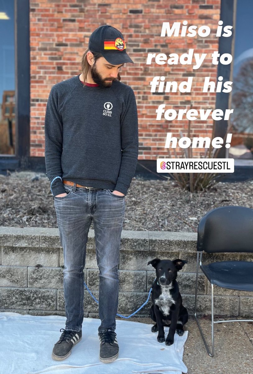 So many perfect little heartbeats and personalities are here today, looking for their forever home. ♥️
Change your life for the better…come over! We’re having a BIG Adoption event today! 
2320 Pine Street, 63103