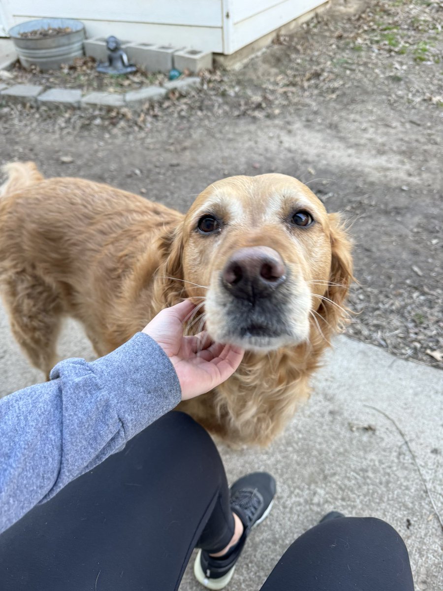 Elishia Seals tweet media