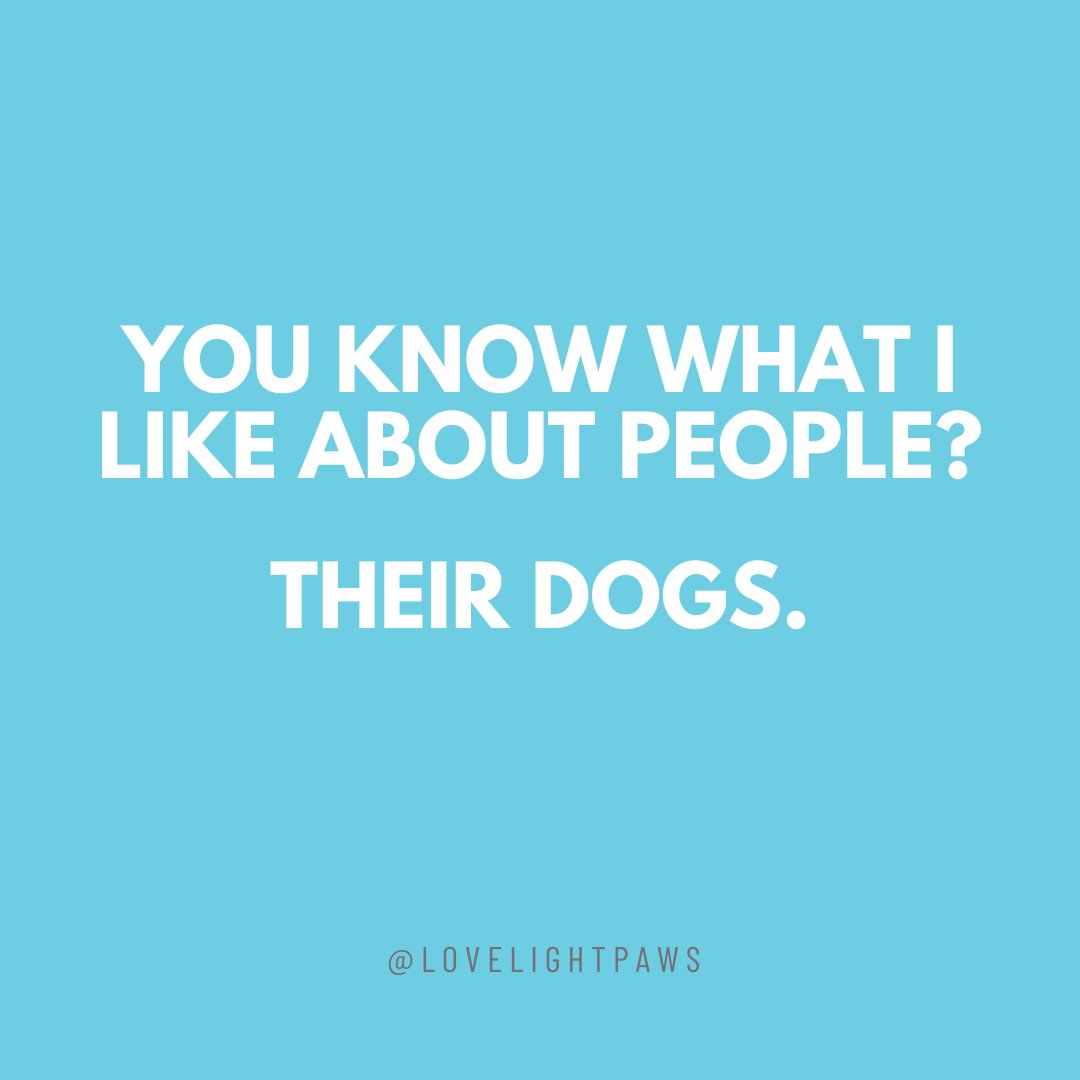 We said what we said. 🐶

#dogowners #dogownerproblems #doglover #doglove #dogloversclub