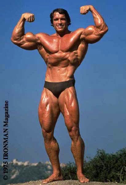 TOP NUTRIENTS FOR TESTOSTERONE AND MALE HEALTH 

• Boron 3-6 mg 
• Zinc 25 mg
• L-carnitine 1-2g 
• Taurine 1-2 g
• Vitamin D3 5000iu
• Vitamin k2 200mcg
• Vitamin E 400-800iu 
• Cholesterol 500-900 mg
• Selenium 200-800 mcg
• Magnesium glycinate 500-1000 mg

Make sure