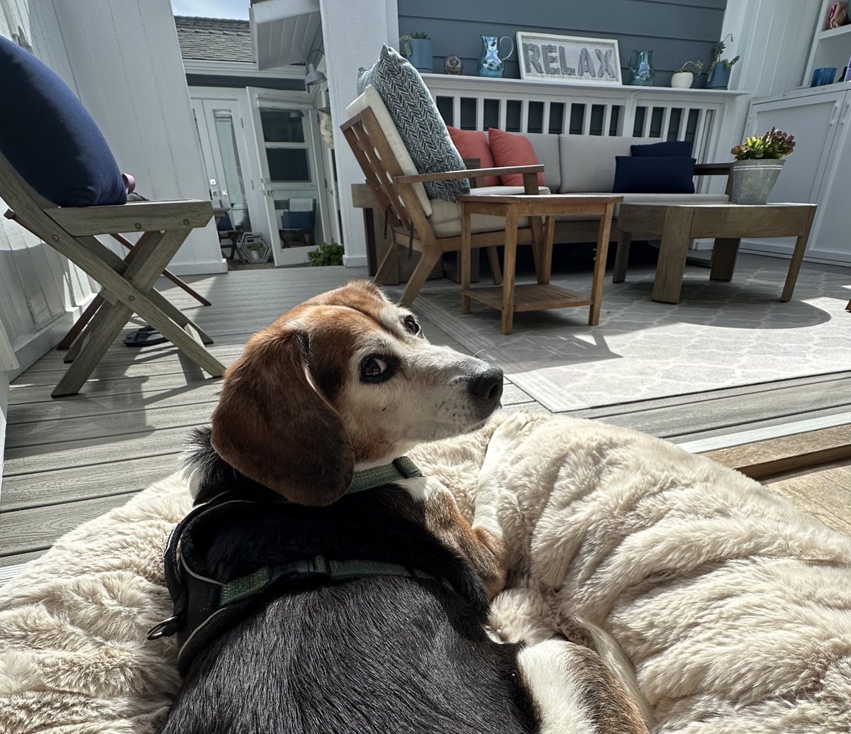 Jennifer Cabe tweet media