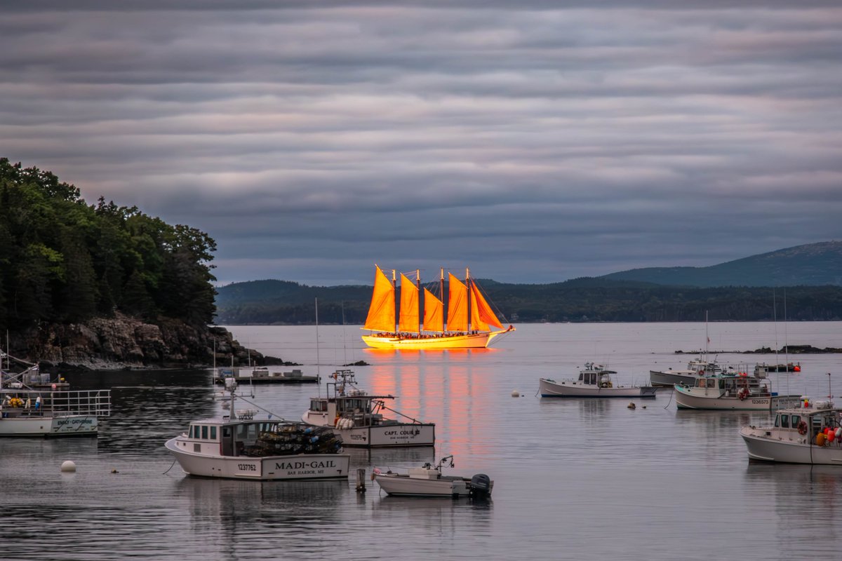 mchughpmtlib's tweet image. #mchughpiermontlibrary #piermontny #photographyshow #fineartphotography #brightenyourhome #homedecor #framedphotographs #hudsonvalleyphotography #piermontartist #piermontphotographers #PHOTOX3 #piermontartgallery @alexisstarke @villageofpiermont #visitpiermont #piermontproud