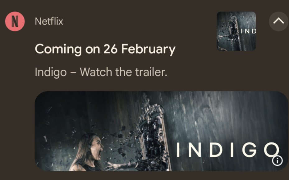 IndicoolToad's tweet image. that&apos;s right, toads, I&apos;m coming onto Netflix this Monday