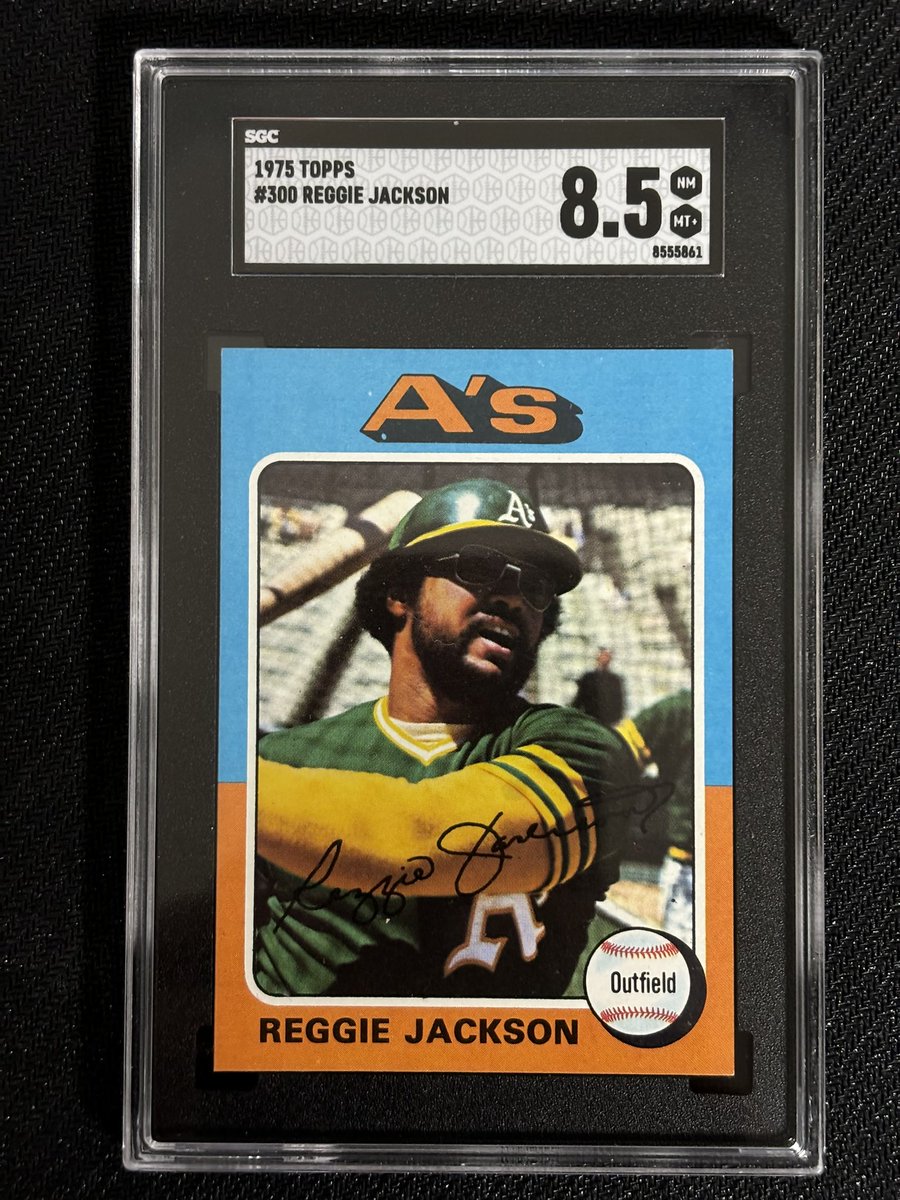 Nobody is listening anyway - Harry Doyle tweet media