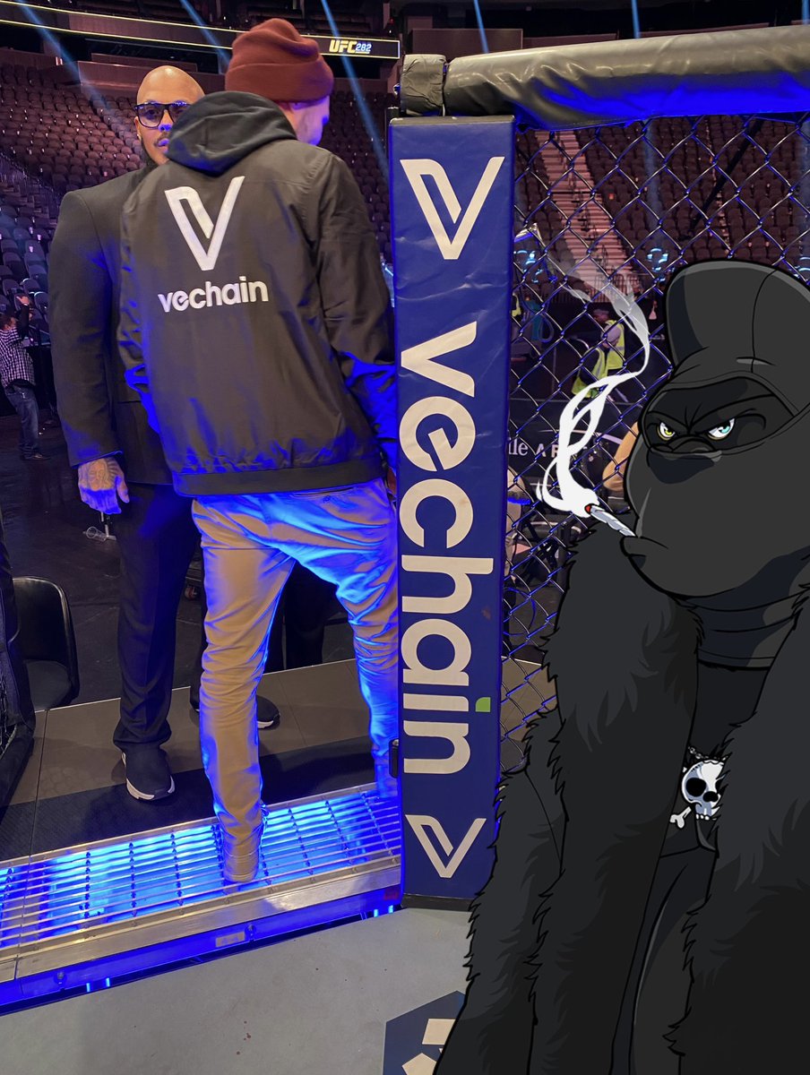 Most people don’t know 99.9% of what I do behind the scenes with #vechain. Zoom calls, meetings, connections, ideas, help planning events, introductions to projects, influencers, businesses, etc etc. At the end of the day, it doesn’t matter. The ecosystem is still maturing…