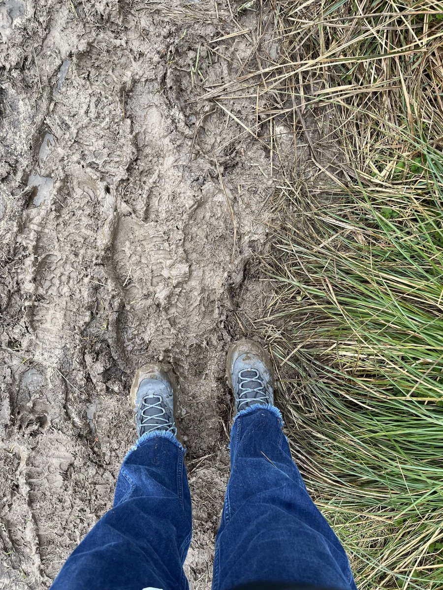 CSazzle's tweet image. 7 mile training walk done! 3 months to go until I trek 100km across the Brecon Beacons with @CoppaFeelPeople 

If you can donate any amount here is the link… justgiving.com/page/sara-dani…