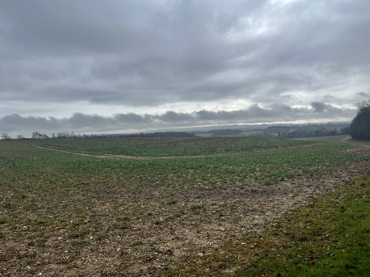 CSazzle's tweet image. 7 mile training walk done! 3 months to go until I trek 100km across the Brecon Beacons with @CoppaFeelPeople 

If you can donate any amount here is the link… justgiving.com/page/sara-dani…