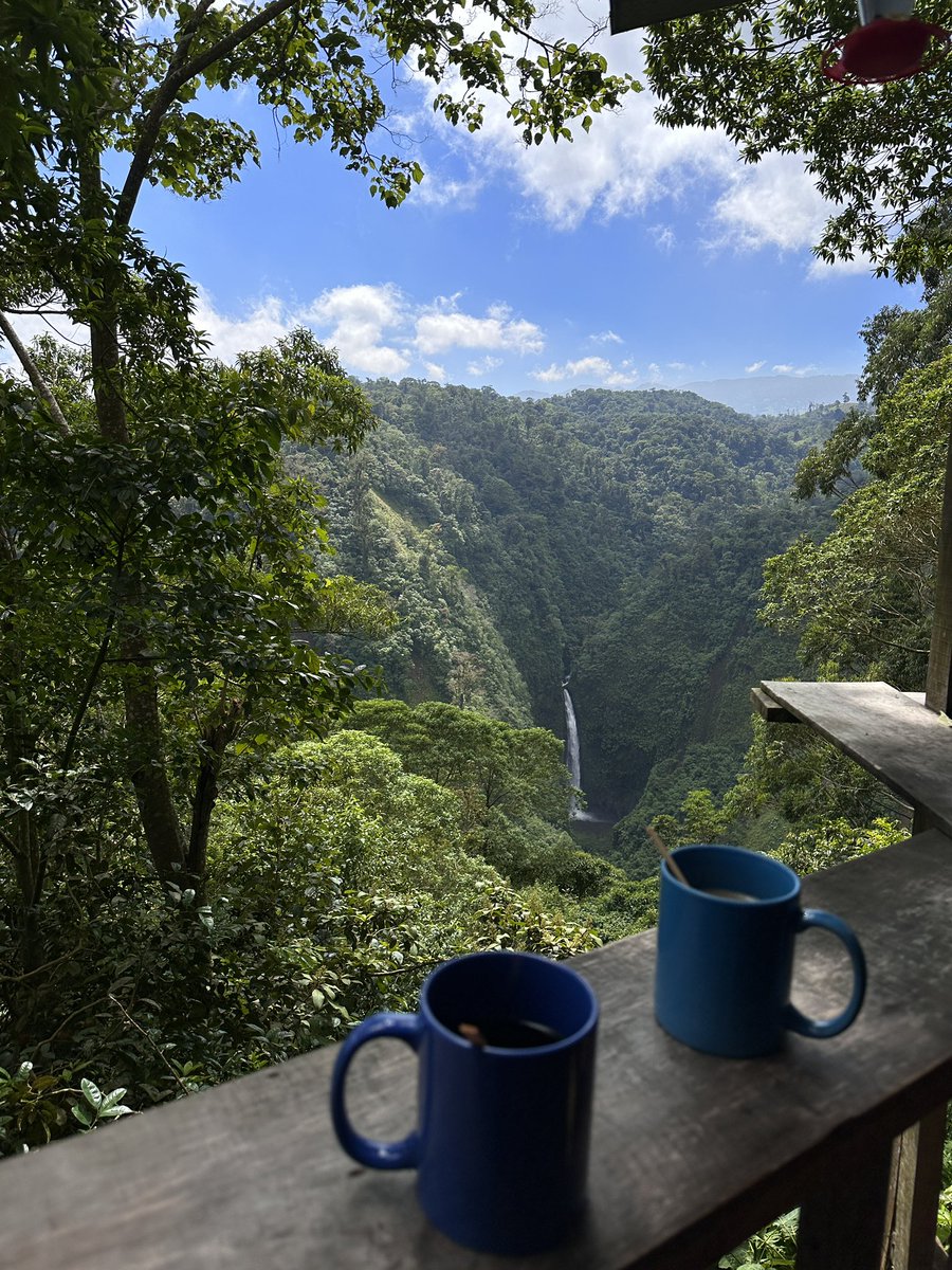 paumarxias's tweet image. buenos días a mí que desayuné con esta vista