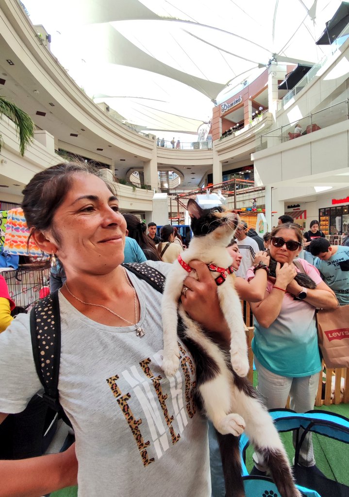 AnimalParaíso tweet media