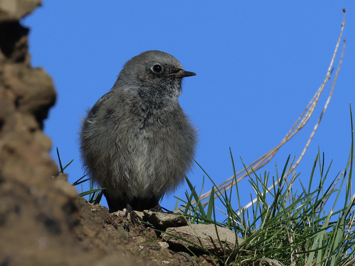 Kevin Morris tweet media