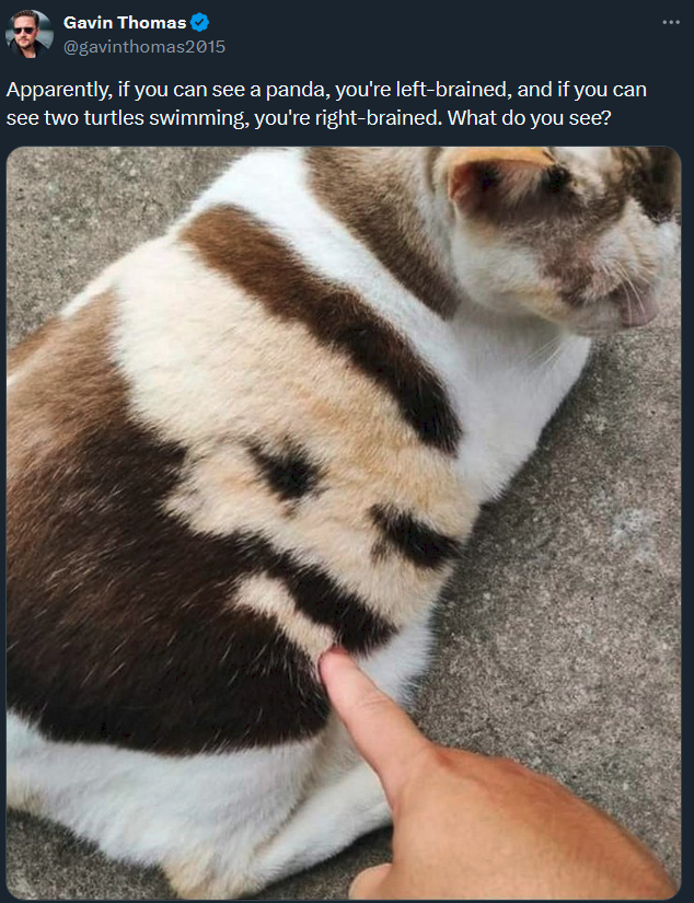 THATS FUCKING ZANGIEF
