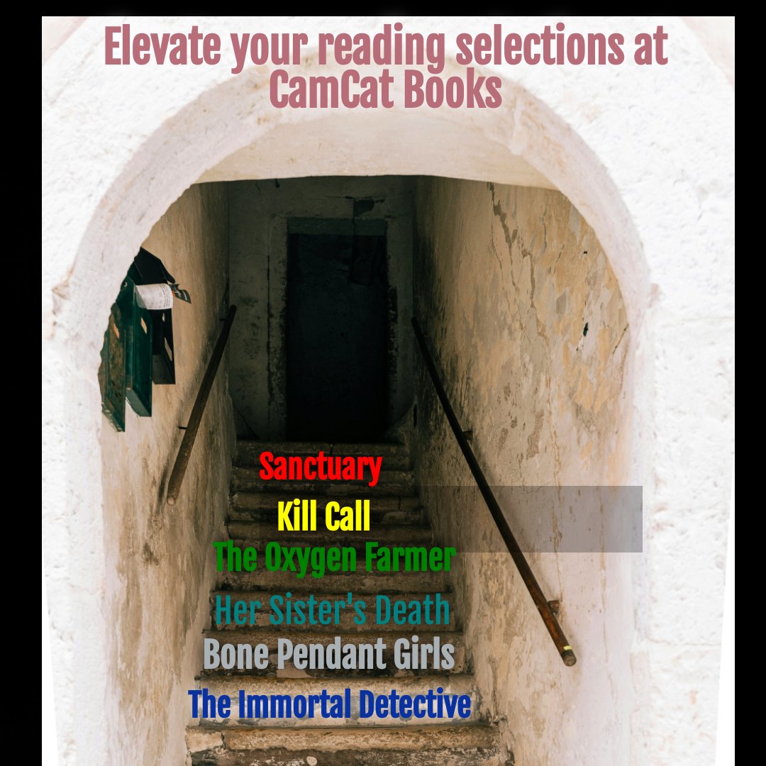 camcatbooks.com/Books/T/The-Im…
#mystery #amreading #booklovers #BookWorm