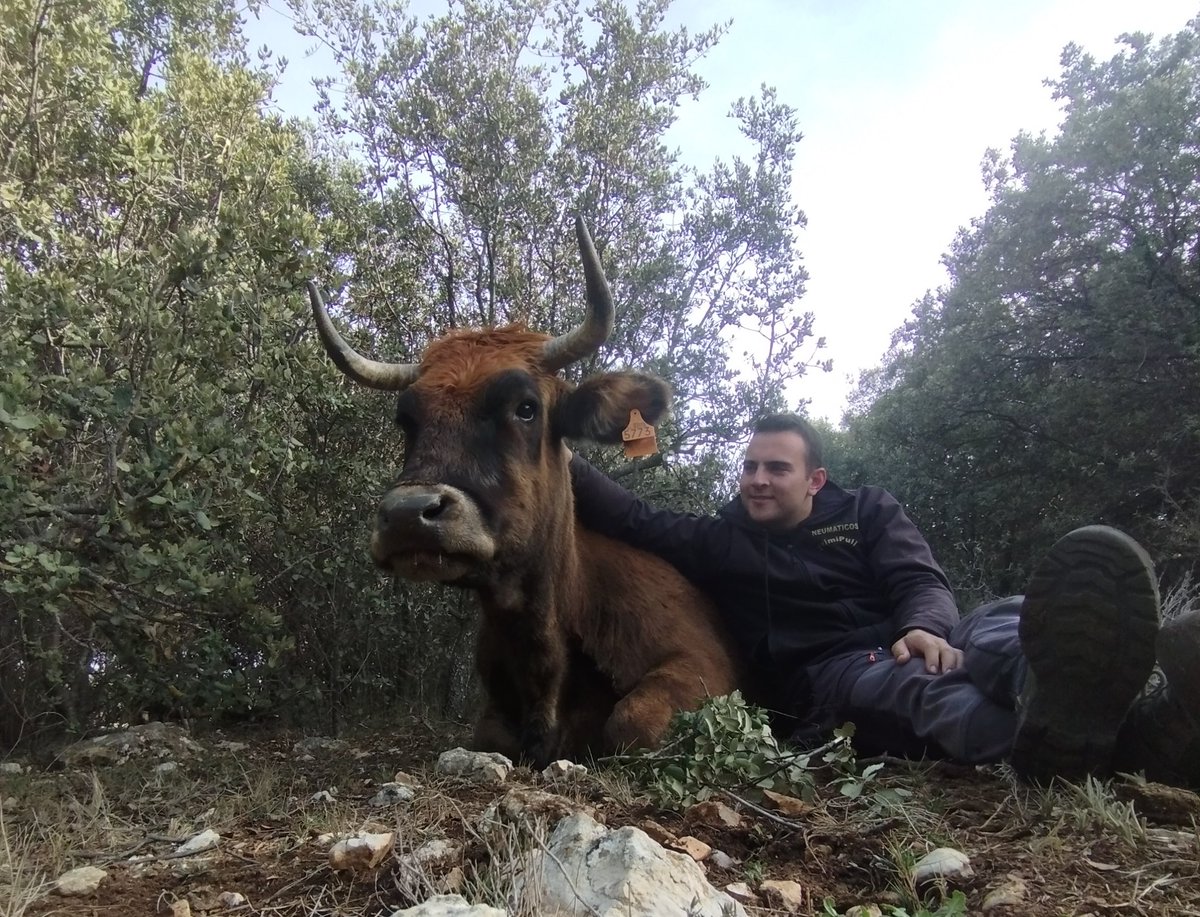 Raúl Blasco Aznar tweet media