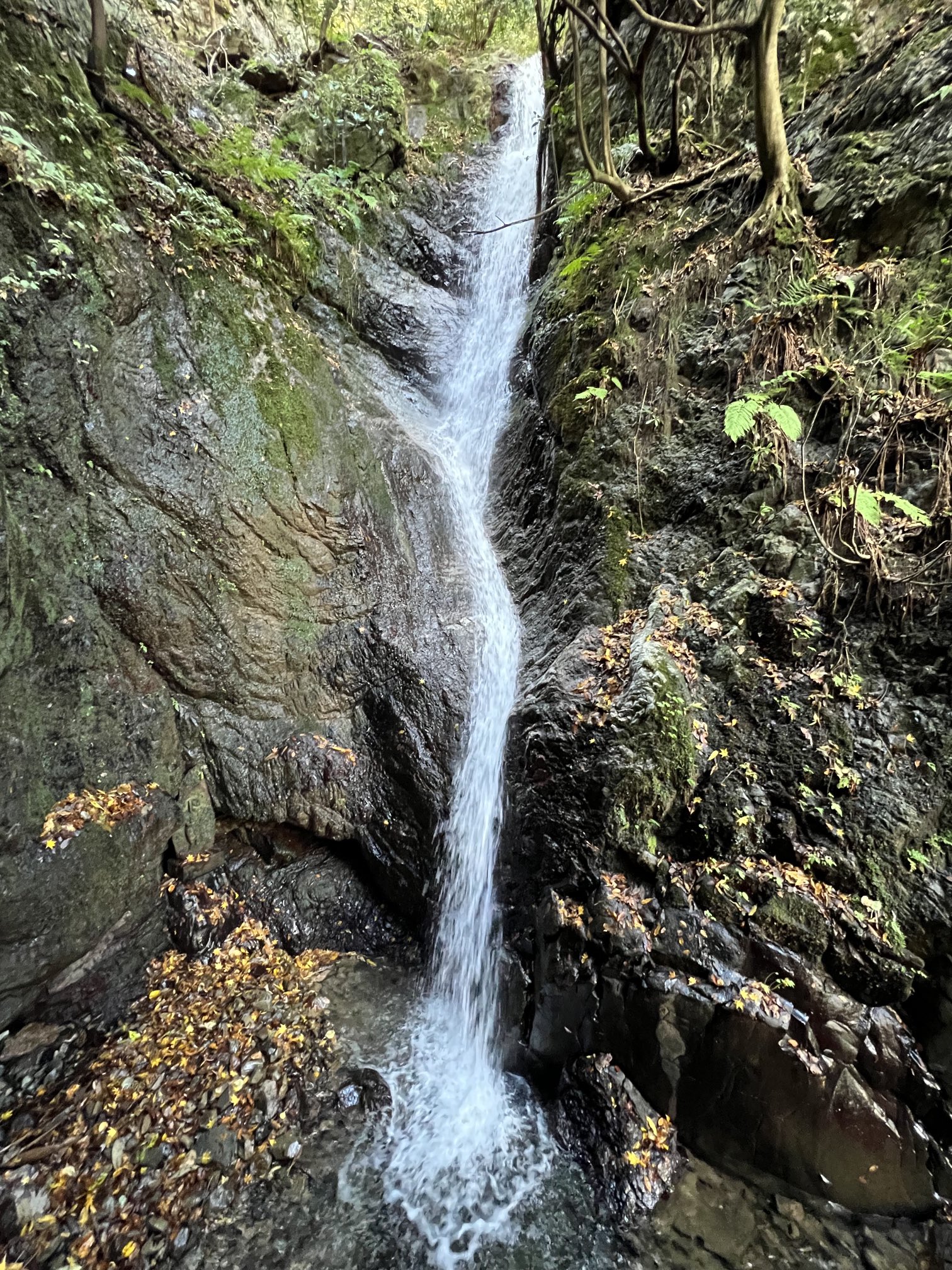 中村左洲 滝の風景