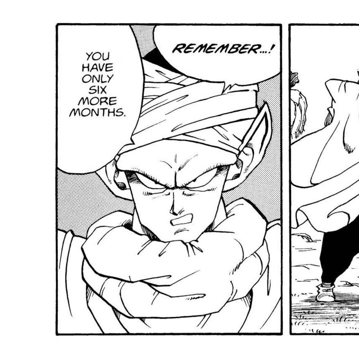 A thread of various mistranslations or localization changes in dragon